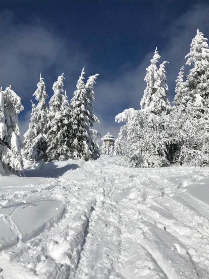 Bergkristall Feldberg  Exterior foto